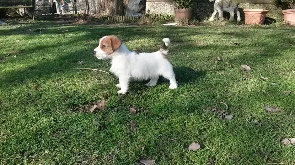 Murphy's erster Tag bei uns - der 02.02.2014