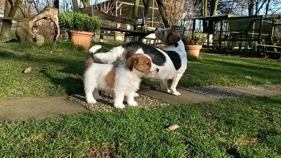 und die schöne Lucy ist auch wieder dabei